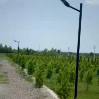 یه زمین الحاق به بافت بی نظیر/۱۵۶متری خوش قیمت|فروش زمین و ملک کلنگی|آمل, |دیوار