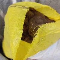 فروش پشم گوسفند