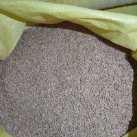 بهترین  و مرغوب ترین گندم دیم|عمدهفروشی|اشترینان, |دیوار