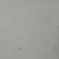 ۰۹۱۳۳۳۲۰۳۹۱