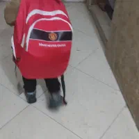 نیازمند سرویس مدرسه