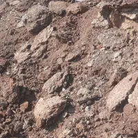 پهن گوسفند|حیوانات مزرعه|انزل, |دیوار