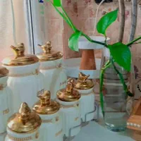پاسماوری ۷تیکه  طلایی سفید|ظروف نگهدارنده، پلاستیکی، یک‌بارمصرف|مشکین‌دشت, |دیوار