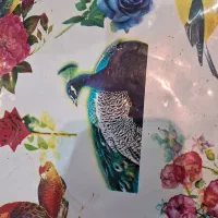 خط 345 دائمی