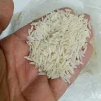 برنج طارم استخوانی اصل شمال بدون قاطی یکدست