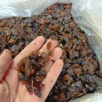 کشمش شیرین گله پاک شده و قیمت خوب|خوردنی و آشامیدنی|اصفهان, زهران|دیوار