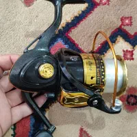 لنسر ماهیگیری