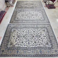 چهار عدد فرش دستباف اردکان یکشکل   ۶متری|فرش|تهران, شیراز|دیوار