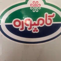 استخدام حسابدار و راننده نیسان