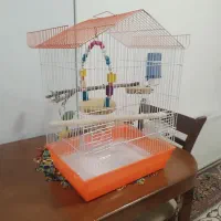 قفس پرنده