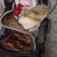 کالسکه دلیجان