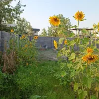 ۱۵۰متر ساحلی با تمام انشعابات،اقدام به سند