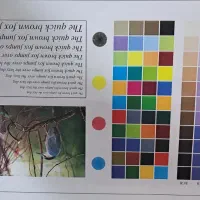 دستگاه چاپ رنگی کونیکا|پرینتر، اسکنر، کپی، فکس|ارومیه, |دیوار