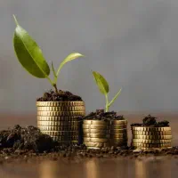 مشاوره زناشویی