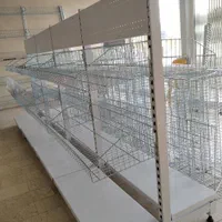 قفسه فروشگاهی شیک و خاص|فروشگاه و مغازه|مریوان, |دیوار