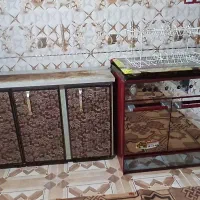 گازوکابینت