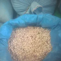 لوبیا چیتی درجه یک برداشت امسال  ۳۸۰|خوردنی و آشامیدنی|رستم, |دیوار