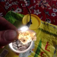 انواع سنگ های عقیق گهربا الماس راف زمرد