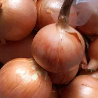 پیاز زرد ۱۵ کیلو