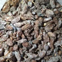 کشمش|خوردنی و آشامیدنی|یزد, |دیوار