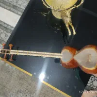 تار دو مهر استاد کنونی|سازهای سنتی|فردیس, خیام شرقی|دیوار