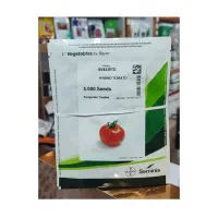 بذر گوجه فرنگی سمینیس نمایندگی فلات