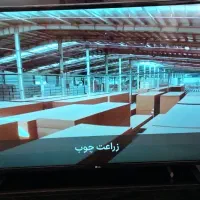 تلویزیون الجی