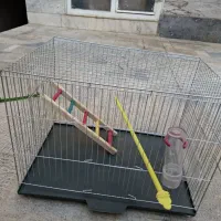 قفس پرنده