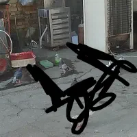 کفتر