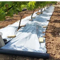 روکش کشاورزی و درختی(مالچ)|خدمات باغبانی و درختکاری|تربت جام, اسماعیل آباد|دیوار