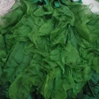 فروش لباس مجلسی|لباس|شیراز, فرهنگیان|دیوار
