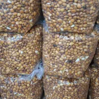 آجیل درجه یک کیلویی به قیمت عمده .