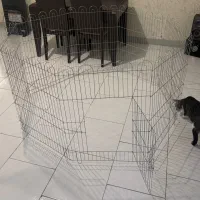 قفس یا پارک سگ