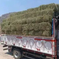 یونجه پرسی اصل