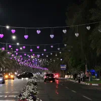 ریسه دکوراتیومبلمان شهری المان نوری المان خاص|ریسه و چراغ تزئینی|تهران, منیریه|دیوار