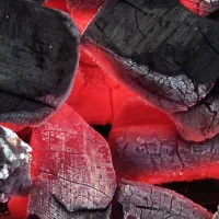 تولید ذغال ریشه درجه یک