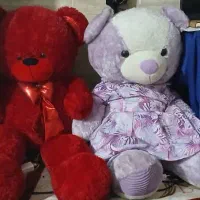 عروسک پولیشی