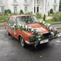 اجاره پیکان اخرایی نوستالژیک مناسب عمارت و آتلیه|خودرو اجارهای|مشکیندشت, |دیوار