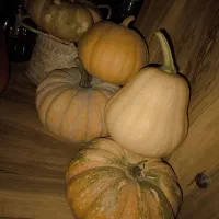 کدو حلوایی