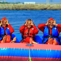 کیش در حد رایگان