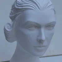 ساخت مجسمه سردیس|مجسمه، تندیس، ماکت|مرند, |دیوار