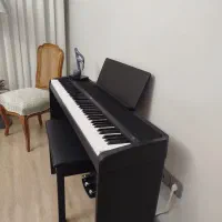 پیانو دیجیتالی|پیانو، کیبورد، آکاردئون|تبریز, |دیوار