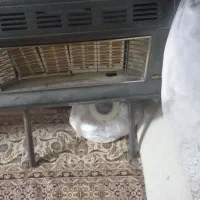 بخاری دیواری|بخاری، هیتر، شومینه|چمران, |دیوار