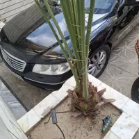 آزرا مدل2008|خودرو سواری و وانت|تهران, شهرک شریعتی|دیوار