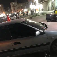 زانتیا نقره ای ۸۳