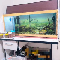 فروش آکواریوم با تمام متعلقات