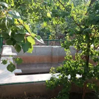 خانه باغی در شهرستان راین