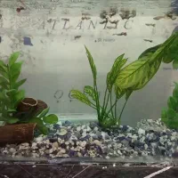 آکواریم با تمام تجهیزات اکوسیستم فعال