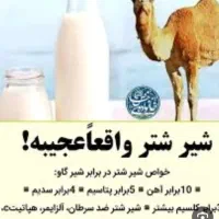 شیر شتر موجود شد از تولید به مصرف