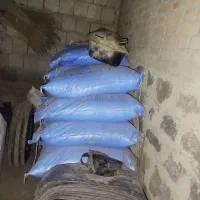 10 عدد کود اوره شیراز